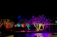 Denver/Chatfield Botanic Gardens - Christmas 2015